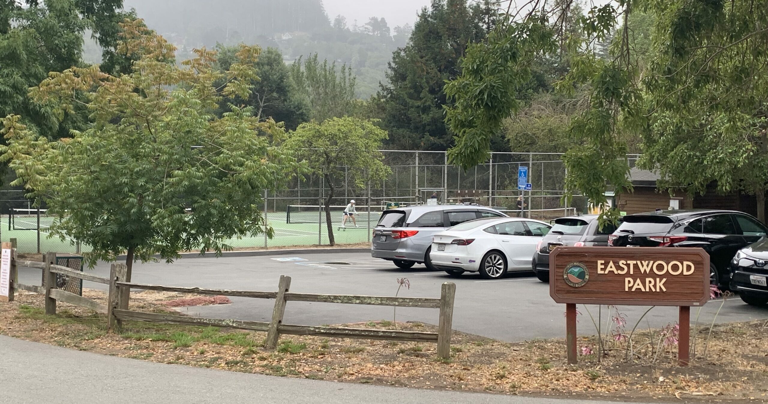 Eastwood Park Tennis/Pickleball Courts Z Sisters Pickleball