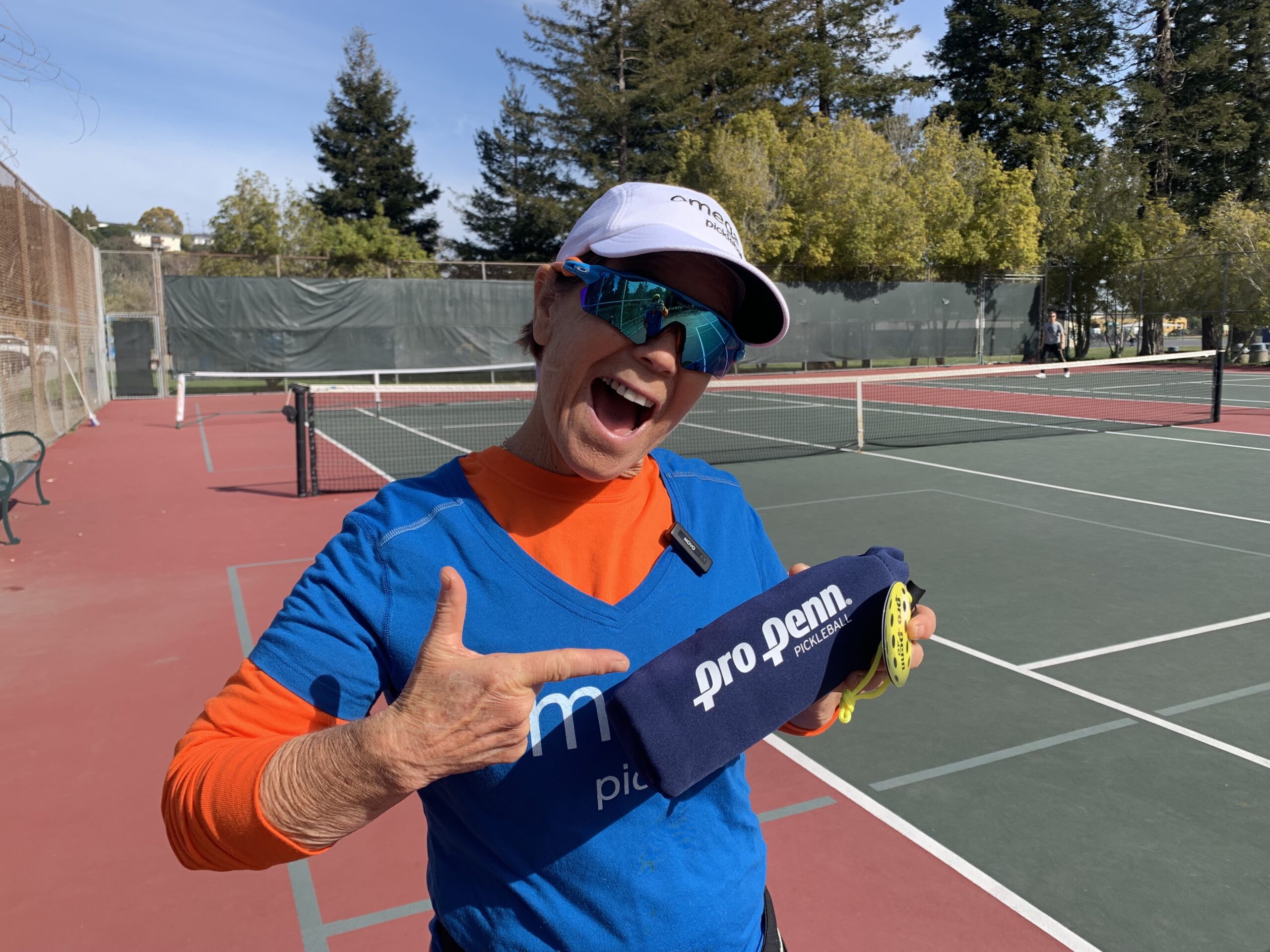 Basic Info About Pickleball Balls for Newbies