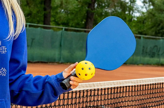 pickleball paddle and ball
